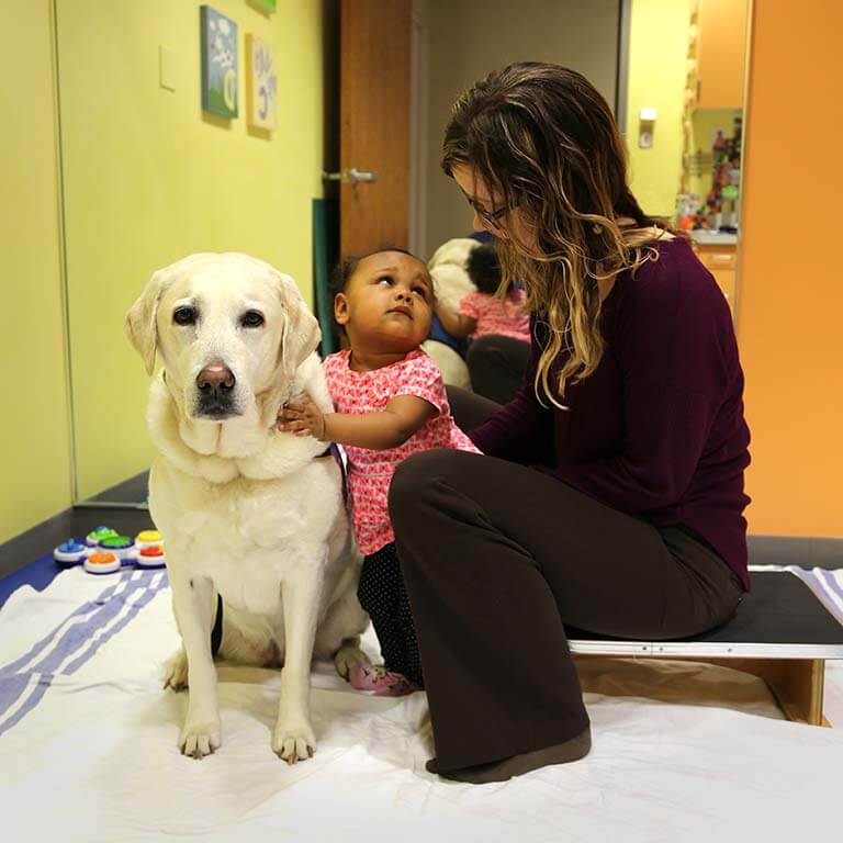 Image of Charm, Taylor Physical Therapy's therapy dog Therapy Dog Image